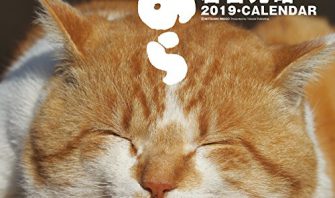 2019猫カレンダー のら