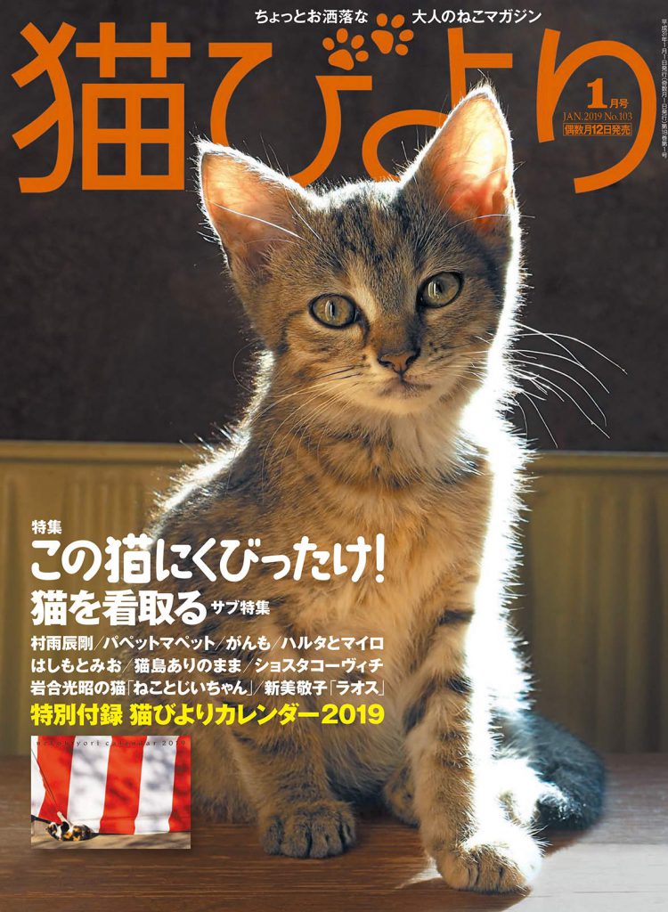 猫びより 19年01月号絶賛発売中 特集 この猫にくびったけ 猫びよりプラス ちょっとお洒落な大人のねこマガジン