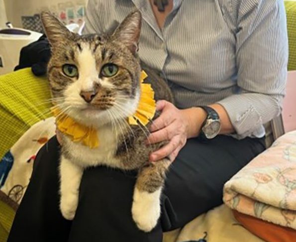 nekogogoさん　専用 予約販売：2026年1月下旬～2月下旬 お届け予定】Neo Eden Toys x 最最