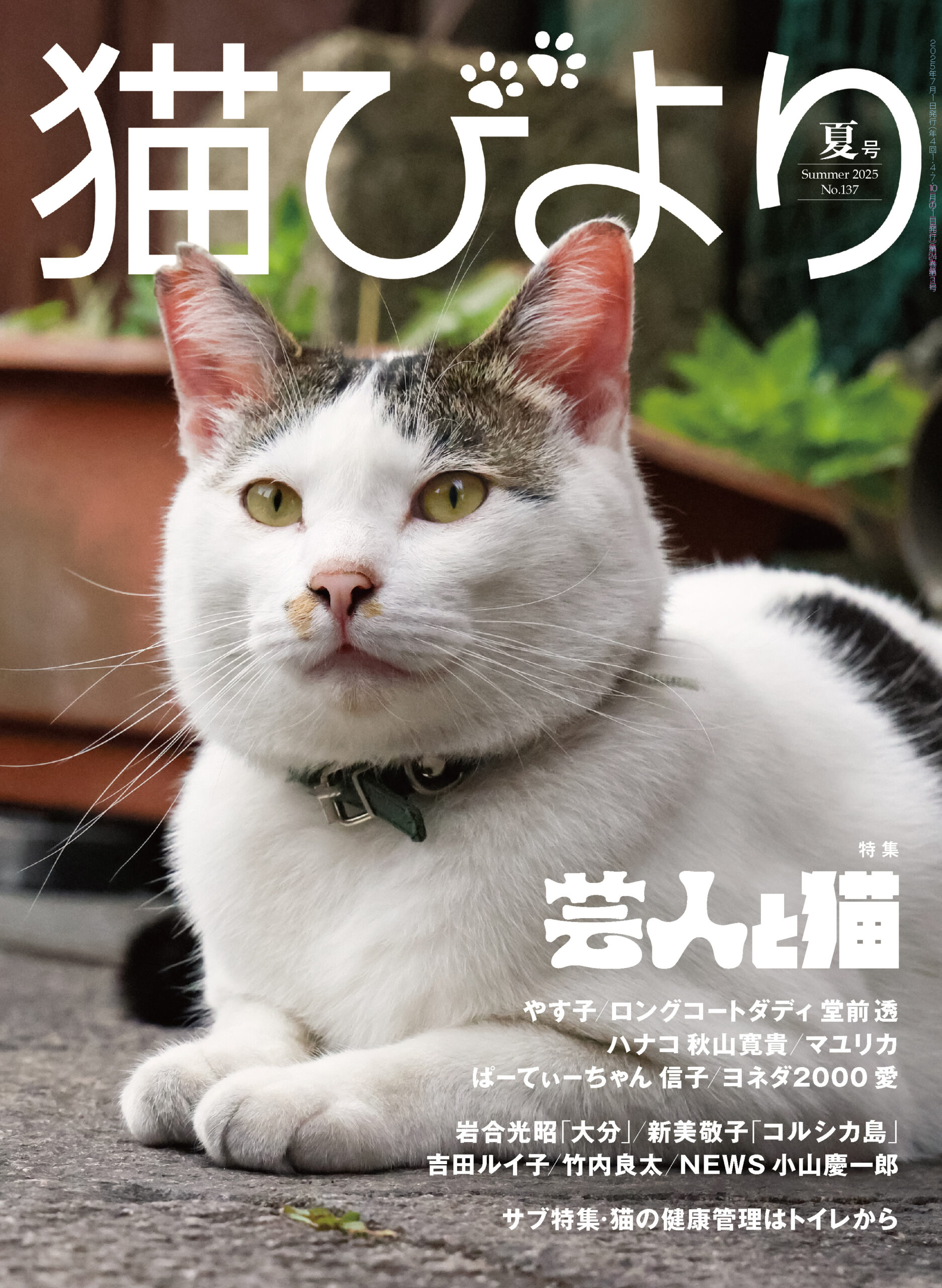 芸人と猫】やす子・ロングコートダディ 堂前・ハナコ 秋山